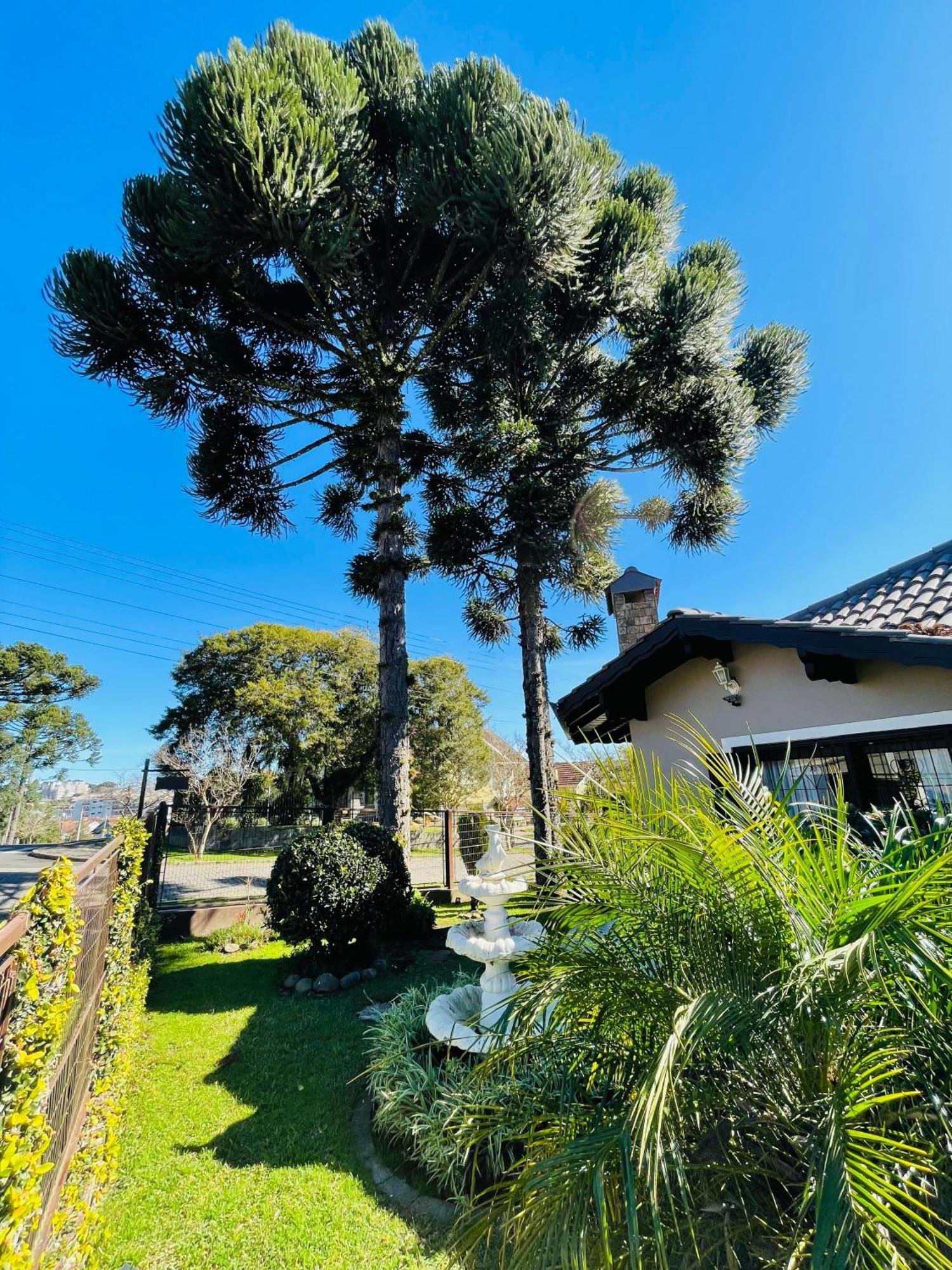 卡内拉 Residencial Pine House酒店 外观 照片